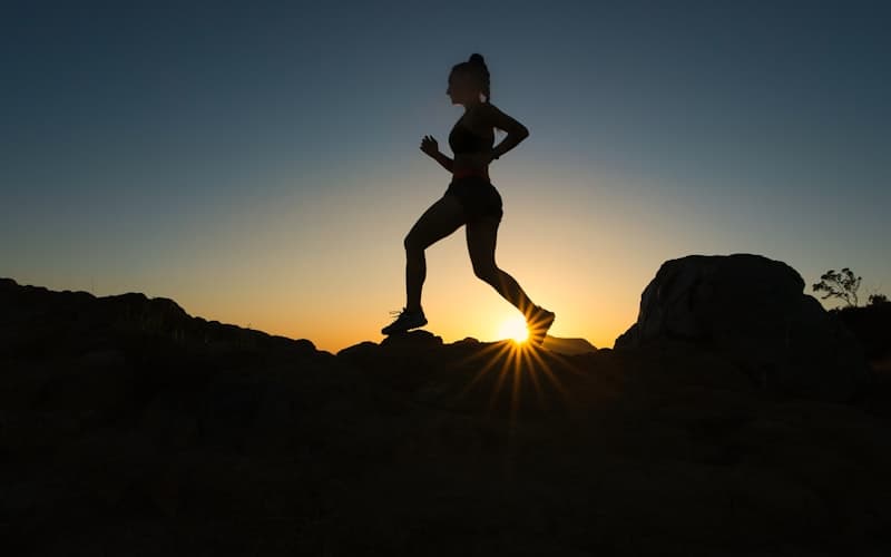 Trail 20-50K